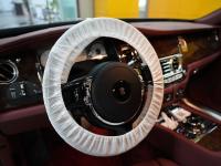 19款 6.6T 长轴距版方向盘